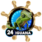 24