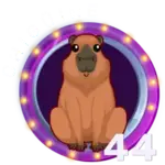 44