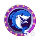 TIBURON