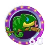 60