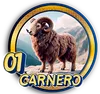 CARNERO