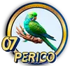 PERICO