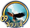 ÁGUILA