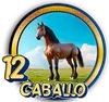 CABALLO