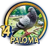PALOMA