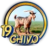 CHIVO
