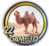 CAMELLO