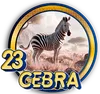 CEBRA