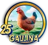 25