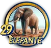 ELEFANTE