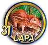 LAPA