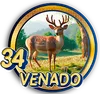 VENADO