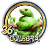 36