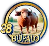 38