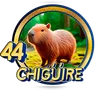 CHIGUIRE