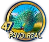 PAVO REAL