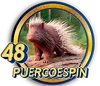 PUERCOESPIN