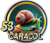 CARACOL