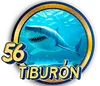 TIBURON