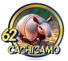 CACHICAMO