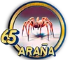 ARAÑA