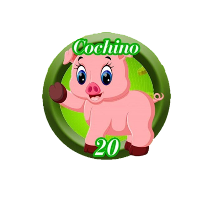 COCHINO