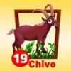 CHIVO
