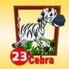 CEBRA