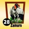 ZAMURO