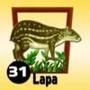 LAPA