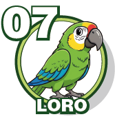 07