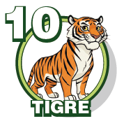 TIGRE