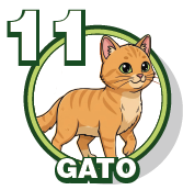11