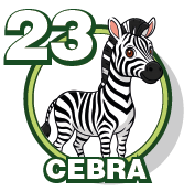 23