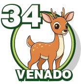 VENADO