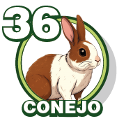 CONEJO