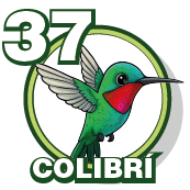 COLIBRI