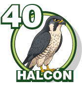 HALCON