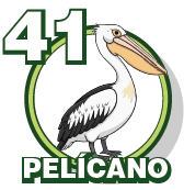 PELICANO