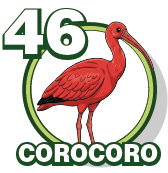 COROCORO