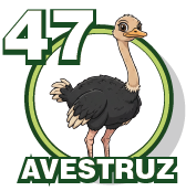 AVESTRUZ
