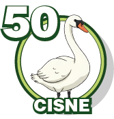 50