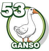 GANZO