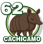 CACHICAMO
